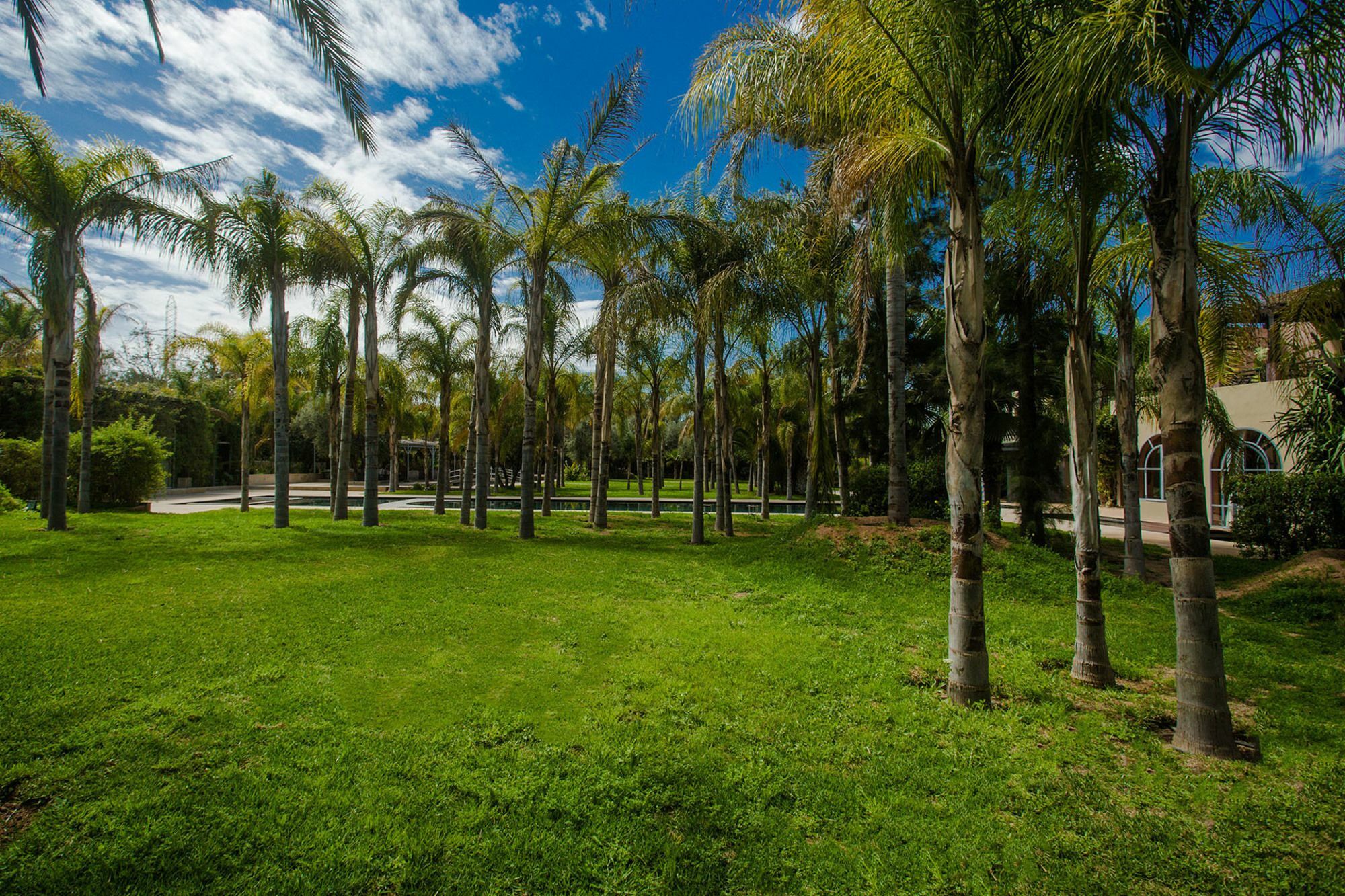 Palais Mirage D'Atlas, Hotel De Luxe & Spa Ouled Jelal Kültér fotó
